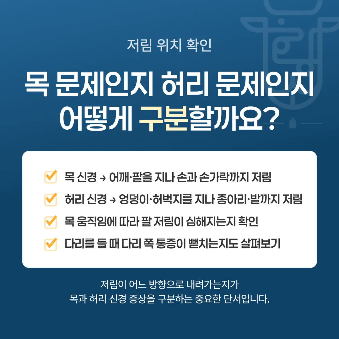 목 신경과 허리 신경의 증상이 나타나는 부위를 나눈 비교 도표