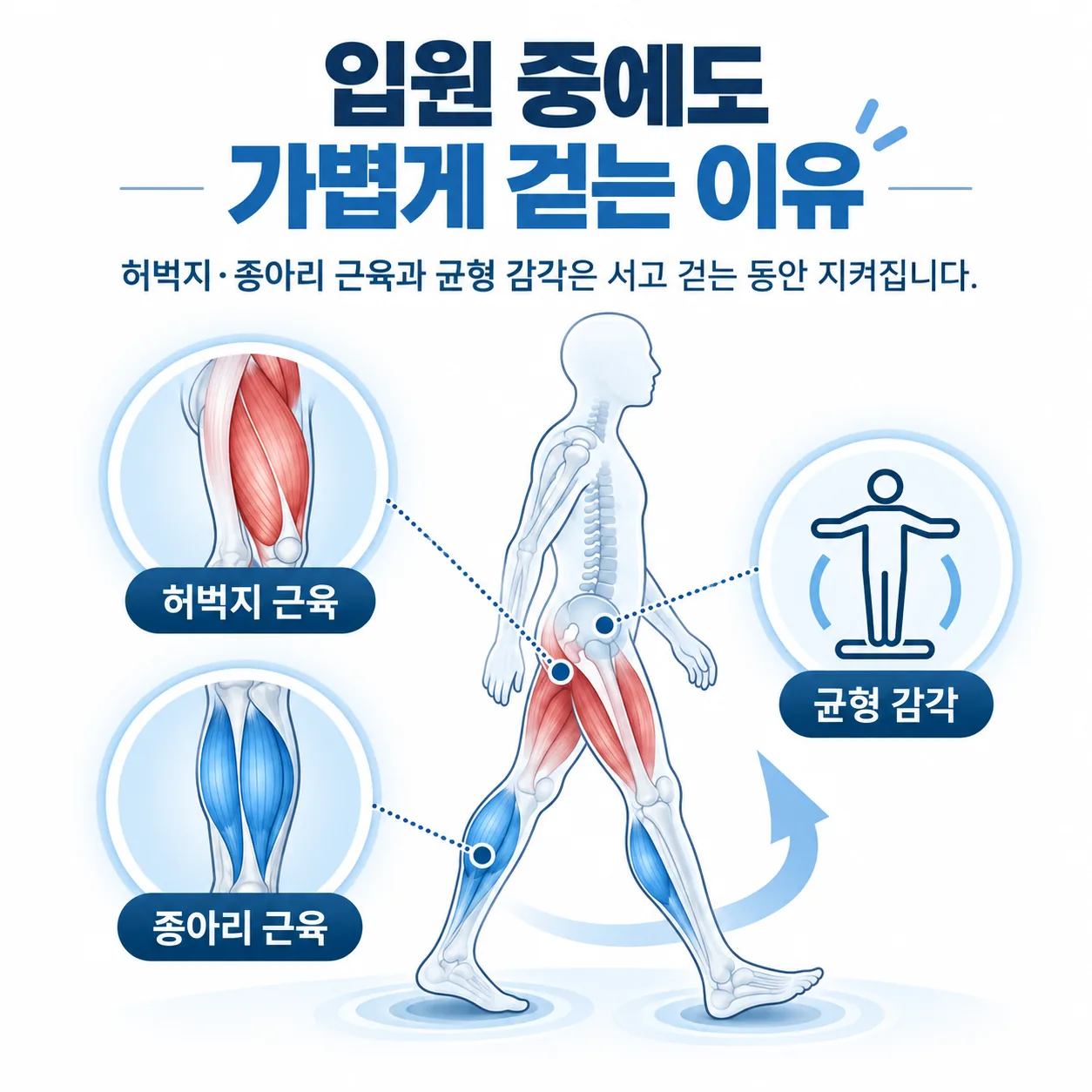 서고 걸을 때 쓰이는 허벅지와 종아리 근육, 균형을 표시한 안내 그림